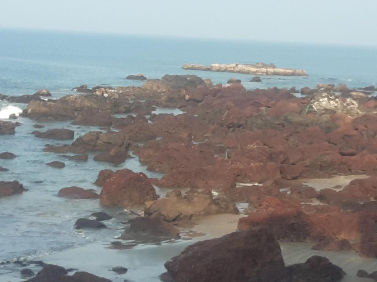 Om Ganesh Guest House Cliffside Arambol Dış mekan fotoğraf